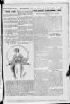 Hampshire Post and Southsea Observer Saturday 20 September 1913 Page 37