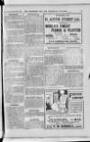 Hampshire Post and Southsea Observer Saturday 27 September 1913 Page 17