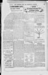 Hampshire Post and Southsea Observer Saturday 22 November 1913 Page 39