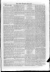 Irish Christian Advocate Friday 09 January 1885 Page 11