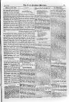 Irish Christian Advocate Friday 30 January 1885 Page 7