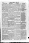 Irish Christian Advocate Friday 06 February 1885 Page 13