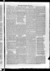 Irish Christian Advocate Friday 13 March 1885 Page 7