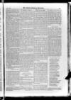 Irish Christian Advocate Friday 13 March 1885 Page 11