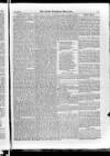 Irish Christian Advocate Friday 27 March 1885 Page 7