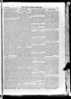 Irish Christian Advocate Friday 10 April 1885 Page 11