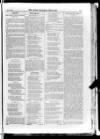 Irish Christian Advocate Friday 24 April 1885 Page 13