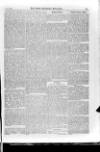 Irish Christian Advocate Friday 12 June 1885 Page 5