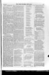 Irish Christian Advocate Friday 12 June 1885 Page 13