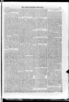 Irish Christian Advocate Friday 07 August 1885 Page 13