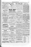 Irish Christian Advocate Thursday 24 December 1885 Page 15
