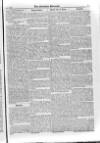 Irish Christian Advocate Friday 01 January 1886 Page 11