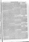 Irish Christian Advocate Friday 26 March 1886 Page 13