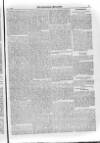 Irish Christian Advocate Thursday 05 April 1888 Page 13