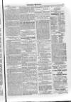Irish Christian Advocate Friday 01 January 1886 Page 15