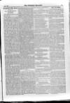 Irish Christian Advocate Friday 15 January 1886 Page 5