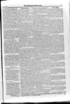 Irish Christian Advocate Friday 15 January 1886 Page 11