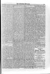 Irish Christian Advocate Friday 02 July 1886 Page 13