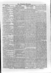 Irish Christian Advocate Friday 17 September 1886 Page 5