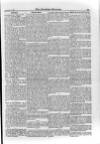 Irish Christian Advocate Friday 17 September 1886 Page 11