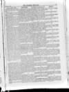 Irish Christian Advocate Friday 18 February 1887 Page 5