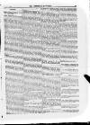 Irish Christian Advocate Thursday 17 March 1887 Page 11