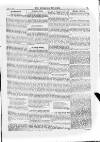 Irish Christian Advocate Thursday 14 April 1887 Page 7