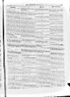 Irish Christian Advocate Thursday 19 May 1887 Page 11