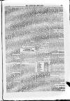 Irish Christian Advocate Thursday 30 June 1887 Page 5