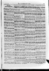 Irish Christian Advocate Thursday 01 September 1887 Page 11