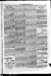 Irish Christian Advocate Thursday 01 September 1887 Page 15