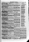 Irish Christian Advocate Thursday 20 October 1887 Page 11