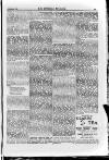 Irish Christian Advocate Thursday 03 November 1887 Page 13