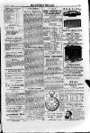 Irish Christian Advocate Thursday 22 December 1887 Page 15