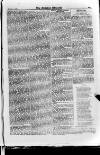 Irish Christian Advocate Thursday 29 December 1887 Page 13