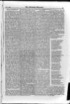 Irish Christian Advocate Thursday 24 May 1888 Page 5