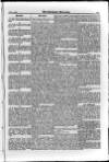 Irish Christian Advocate Thursday 24 May 1888 Page 11