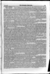 Irish Christian Advocate Thursday 24 May 1888 Page 13