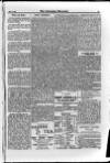 Irish Christian Advocate Thursday 24 May 1888 Page 15