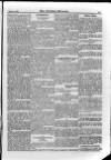 Irish Christian Advocate Friday 07 September 1888 Page 7
