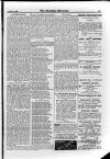 Irish Christian Advocate Friday 19 October 1888 Page 15