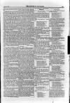 Irish Christian Advocate Friday 08 August 1890 Page 13