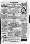 Irish Christian Advocate Friday 08 August 1890 Page 15