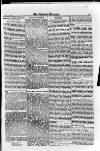 Irish Christian Advocate Friday 29 August 1890 Page 11