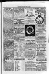 Irish Christian Advocate Friday 29 August 1890 Page 15