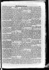 Irish Christian Advocate Friday 19 December 1890 Page 11