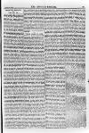 Irish Christian Advocate Friday 27 February 1891 Page 5
