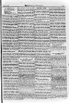 Irish Christian Advocate Friday 27 February 1891 Page 11