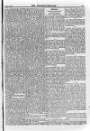 Irish Christian Advocate Friday 20 March 1891 Page 11