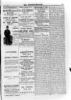 Irish Christian Advocate Friday 12 June 1891 Page 9